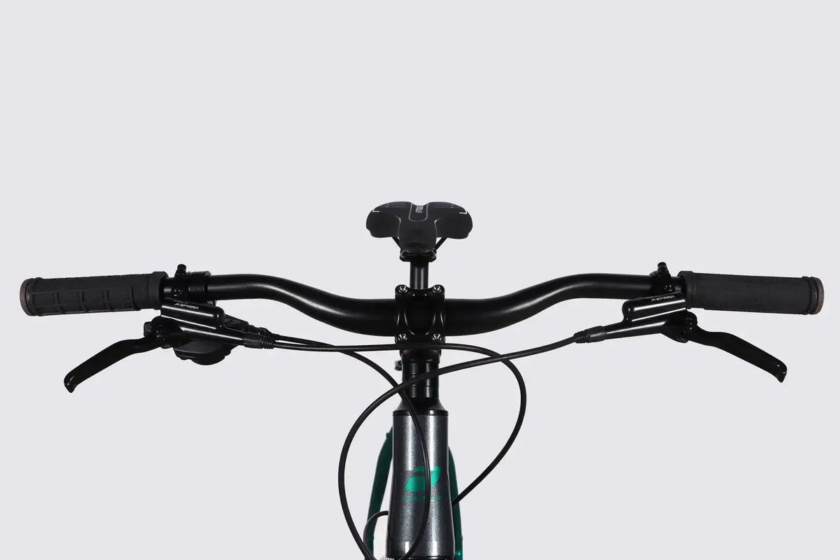Велосипед AL 29" Formula ZEPHYR 1.0 HDD рама-21" темно-сріблястий з зеленим 2026